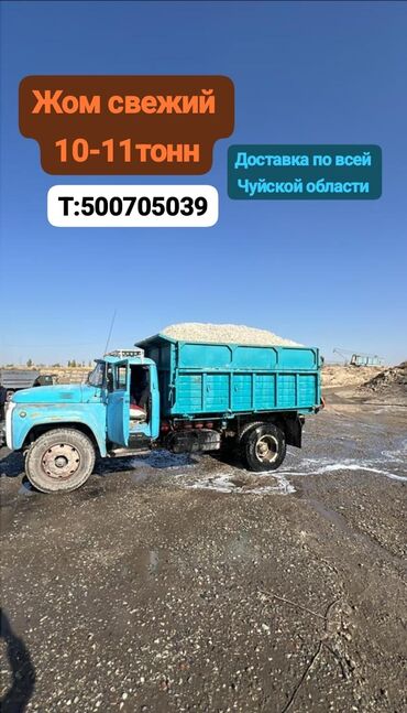 крупно рагатый скот: ЖОМ ЖОМ СВЕЖИЙ 
С ДОСТАВКОЙ