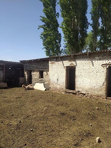 куры живые: Farm КРС, 10000 соток, Действующий, Частично с оборудованием, Электричество — 8