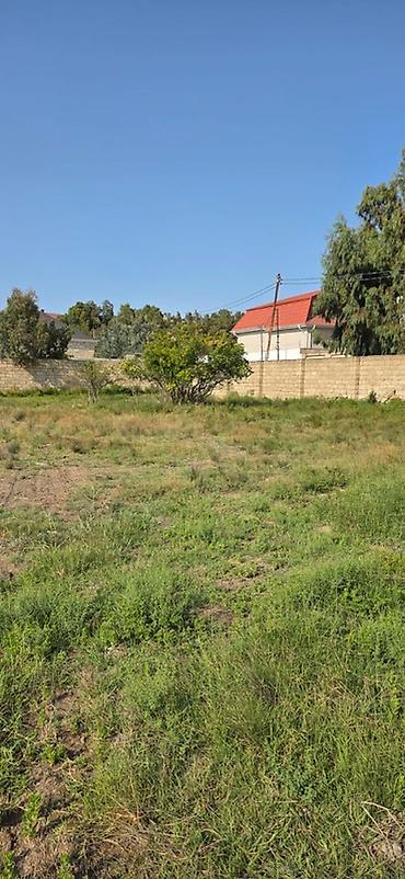 bine atciliqda torpaq: 50 sot, Tikinti, Mülkiyyətçi, Kupça (Çıxarış) — 3
