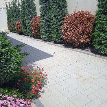 Suvarma sistemləri: Suvarma sistemlərinin ağıllı sistemlə wifi və ya avtomatik idarəetmə — 5