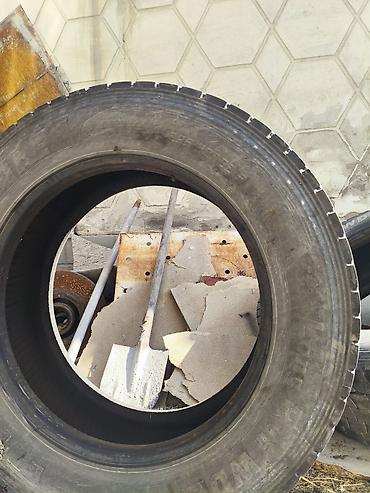 Шиналар: Шиналар 295 / 60 / R 22,5, All-season, Колдонулган, Жүк ташуучу унаалар/Автобустар, WestLake — 4