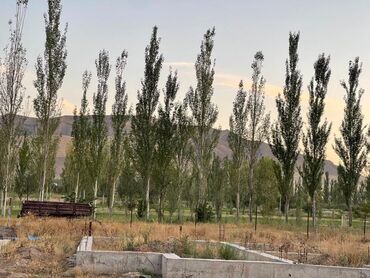 гостевой дом на иссык куле: 7 соток, Для бизнеса, Красная книга