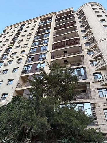 4: 4 комнаты, 214 м², Золотой квадрат Элитка, 7 этаж — 2