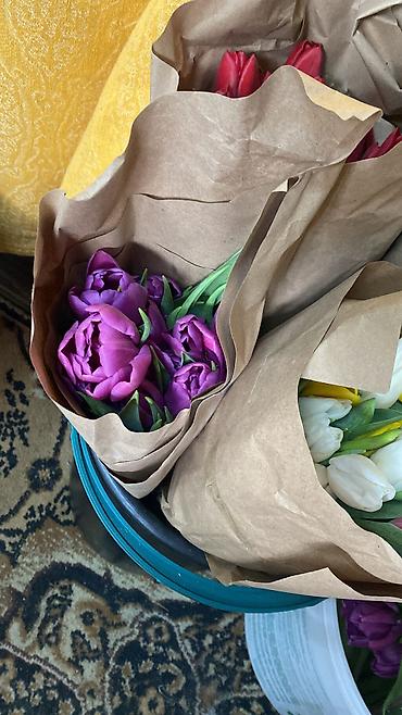 Букеты из живых цветов: Тюльпаны к 8 Марта — опт и розница. - Свежесрезанные тюльпаны разных — 10