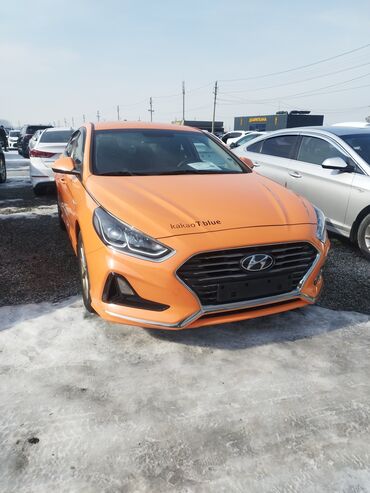 хендай xg: Hyundai Sonata: 2019 г., 2 л, Автомат, Газ, Седан