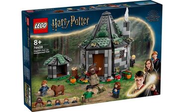 детские зонты: Lego Harry Potter 🤓 76428 Хижина Хагрида :Неожиданный визит 🏕️ Новинка