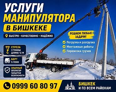 Жаанын 12 м, 3 т., Борттун 5 кг