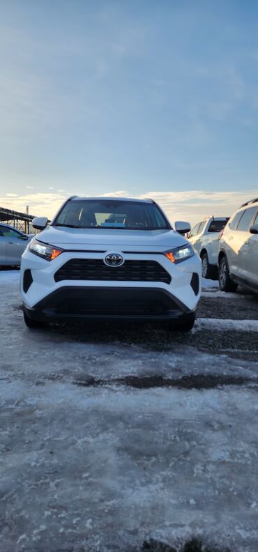 зимный: Toyota RAV4: 2020 г., 2.5 л, Автомат, Бензин, Кроссовер