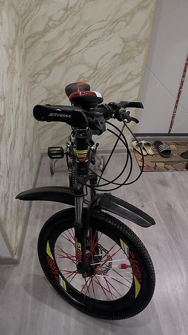 stres carkı ucuz: Uşaq velosipedi – STRIM Velo - Təkər ölçüsü: təxminən 20 düym - Rəng — 8
