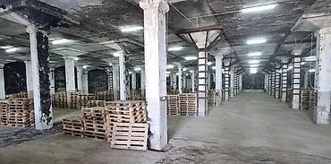 продаю кара балта: 🏢 СКЛАДСКИЕ ПОМЕЩЕНИЯ В АРЕНДУ ‼️ Сдаются в аренду большие складские — 6