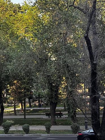 Продажа квартир: 3 комнаты, 65 м², Индивидуалка, 2 этаж, Косметический ремонт — 5