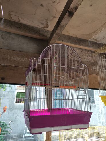 Qəfəslər: Qefesler yumru qirmizi 30 Azn obirler 20-15 Azn — 3