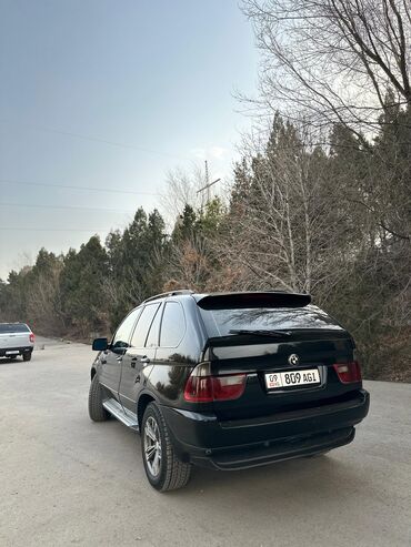 BMW: BMW X5: 2002 г., 3 л, Автомат, Дизель, Кроссовер — 9