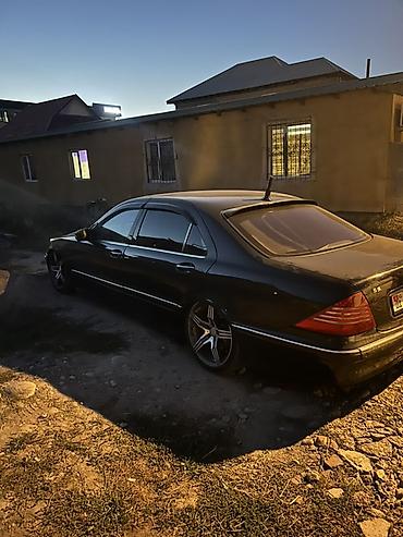 шторка w210: Mercedes-Benz S-Class: 1999 г., 5 л, Газ, Седан — 1