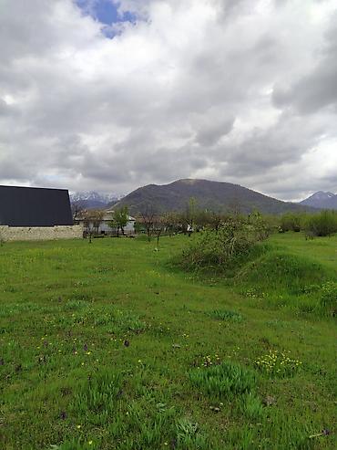 qalada torpaq: 5 sot, Tikinti, Mülkiyyətçi, Kupça (Çıxarış) — 1