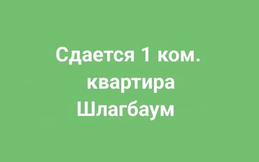 сдаю квартиру гостичного типа: 1 бөлмө, Менчик ээси, Чогуу жашоосу жок, Эмерексиз