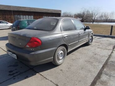 Стоп-сигналы: Kia Spectra: 2001 г., 1.8 л, Автомат, Бензин, Седан