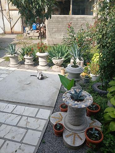 Həyət evləri və villaların satışı: 3 otaqlı, 100 kv. m, Kredit yoxdur, Orta təmir — 11