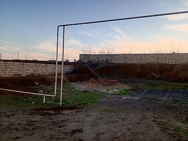 Torpaq sahələrinin satışı: 2 sot, Tikinti, Bələdiyyə -da lalafo.az — 7 Torpaq sahələrinin satışı: 2 sot, Tikinti, Bələdiyyə — 7