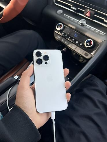 ipad 12 pro: IPhone 13 Pro, 256 ГБ, цвет серебристый (Silver) - Модель: iPhone 13 — 1
