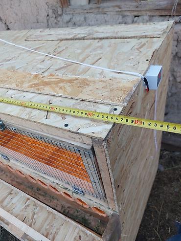 Ящики: Деревянный Ящик — 5