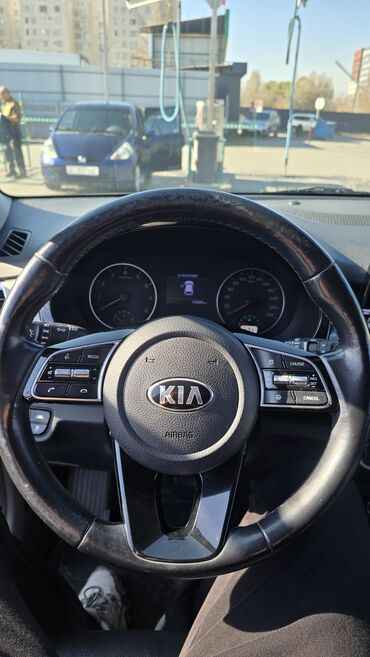 Kia: Kia Seltos: 2019 г., 1.6 л, Автомат, Бензин, Кроссовер — 9
