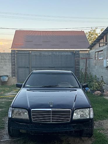 мерис 124: Mercedes-Benz S-Class: 1995 г., 3.2 л, Автомат, Бензин, Седан — 1
