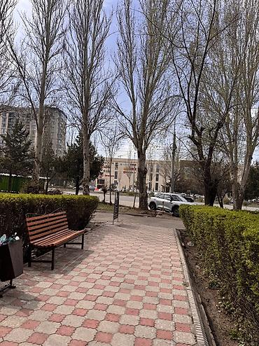 барбершоп: Сдаю Парикмахерское кресло: Для парикмахера, барбера — 3