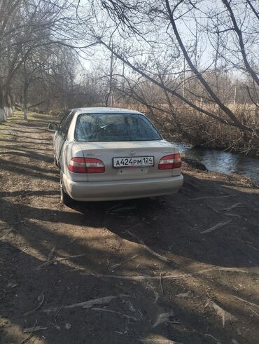 кровн тойота: Toyota Corolla: 1997 г., 1.5 л, Автомат, Бензин, Седан