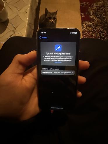 Apple iPhone: IPhone 11 Pro, Б/у, 64 ГБ, Space Gray, Чехол, 75 % — 8