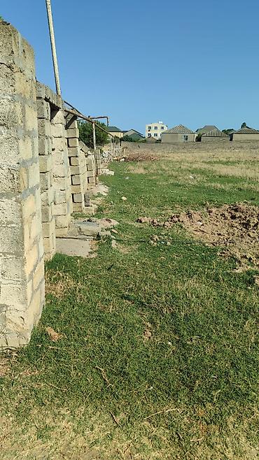 visnofkada torpaq: 20 sot, Tikinti, Mülkiyyətçi, Kupça (Çıxarış) — 2