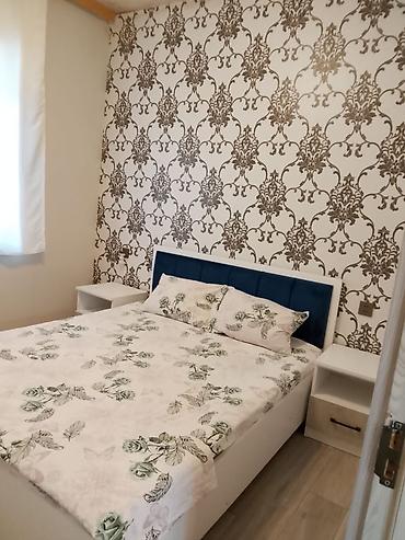 zaqatalada kiraye evler gunluk: 85 kv. m, 3 otaqlı, İşıq — 10