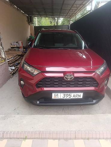raf4 2020: Toyota RAV4: 2019 г., 2.5 л, Автомат, Бензин, Кроссовер — 1