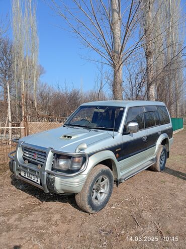 Mitsubishi: Mitsubishi Pajero: 1995 г., 2.9 л, Автомат, Дизель, Внедорожник