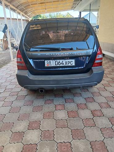 hongqi e: Subaru Forester: 2004 г., 2.5 л, Автомат, Бензин, Кроссовер — 4