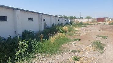 Digər daşınmaz kommersiya əmlakı icarəsi: Toyuq Üçün Ferma İcarəyə Verilir. Salam. 4 Ədəd, Hər Biri 15.000 — 15