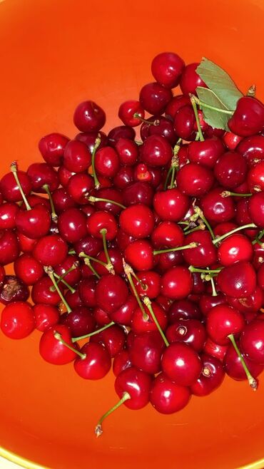 Черешня: Черешня В розницу, Бесплатная доставка, Платная доставка