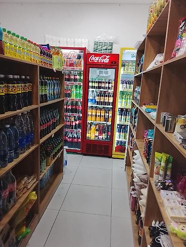 животные для дома: Продуктовый мини-маркет у дома - Ассортимент: напитки (Coca‑Cola — 2