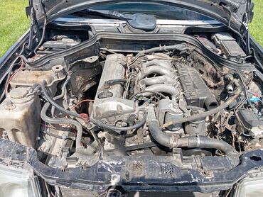 Mercedes-Benz: Mercedes-Benz 250: 2.5 l | 1991 il Van body type — 16