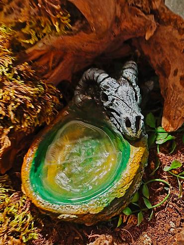 Зоотовары: 🌿 Украшения и декорации для аквариумов и террариумов 🌿 Продаю — 1