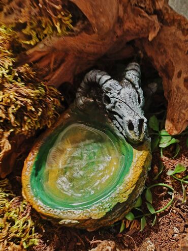 Зоотовары: 🌿 Украшения и декорации для аквариумов и террариумов 🌿 Продаю — 27