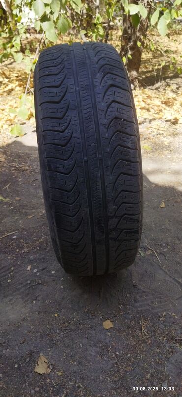 диска на киа к5: Шиналар 195 / 60 / R 15, All-season, Камдык, Жеңил унаалар, BFGoodrich