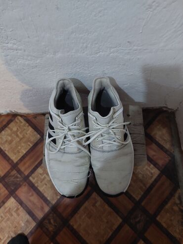 обувь для волейбола: Кроссовки adidas
для волейбола
состояние бу
