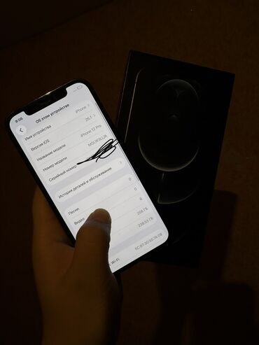 Apple iPhone: IPhone 12 Pro, Б/у, 256 ГБ, Pacific Blue, Чехол — 10