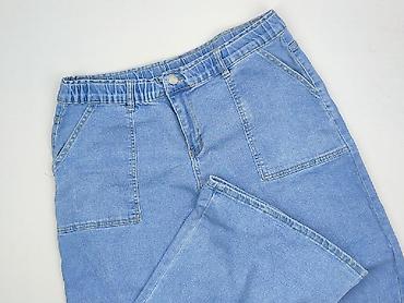 evisu jeans: Denim, Jeansy damskie, rozmiar XL — 1