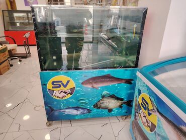 soyuducu: Diri baliq satmaq ucun balıq akvariumu satilir. mator istilik suyunu