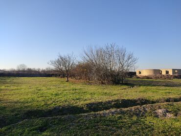 1 hektar: 1000 sot, Kənd təsərrüfatı, Mülkiyyətçi, Kupça (Çıxarış)