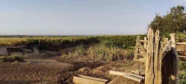 Сельхоз предприятия: Продается Кашара Фермерское- хозяйство с действующим бизнесом и с — 16