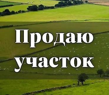 урицкая: 5 соток, Для бизнеса, Договор дарения — 1
