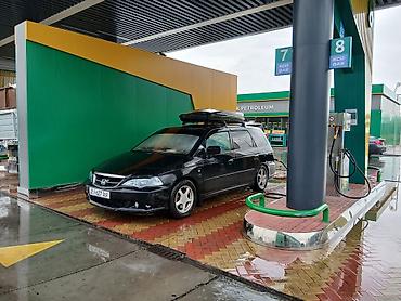 Honda: Honda Odyssey: 2003 г., Минивэн — 1
